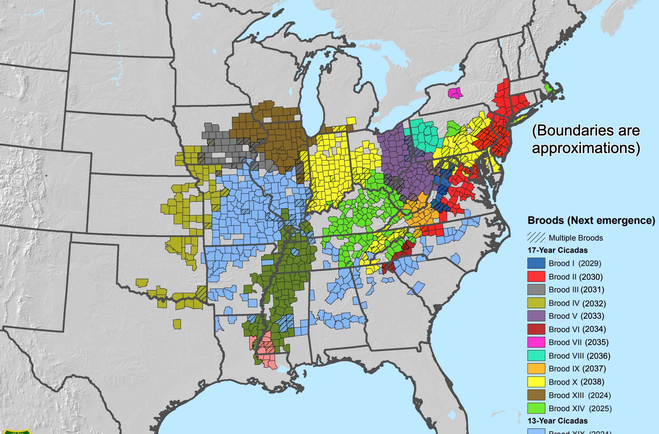 Where billions of cicadas will emerge this spring (and over the next decade), in one map