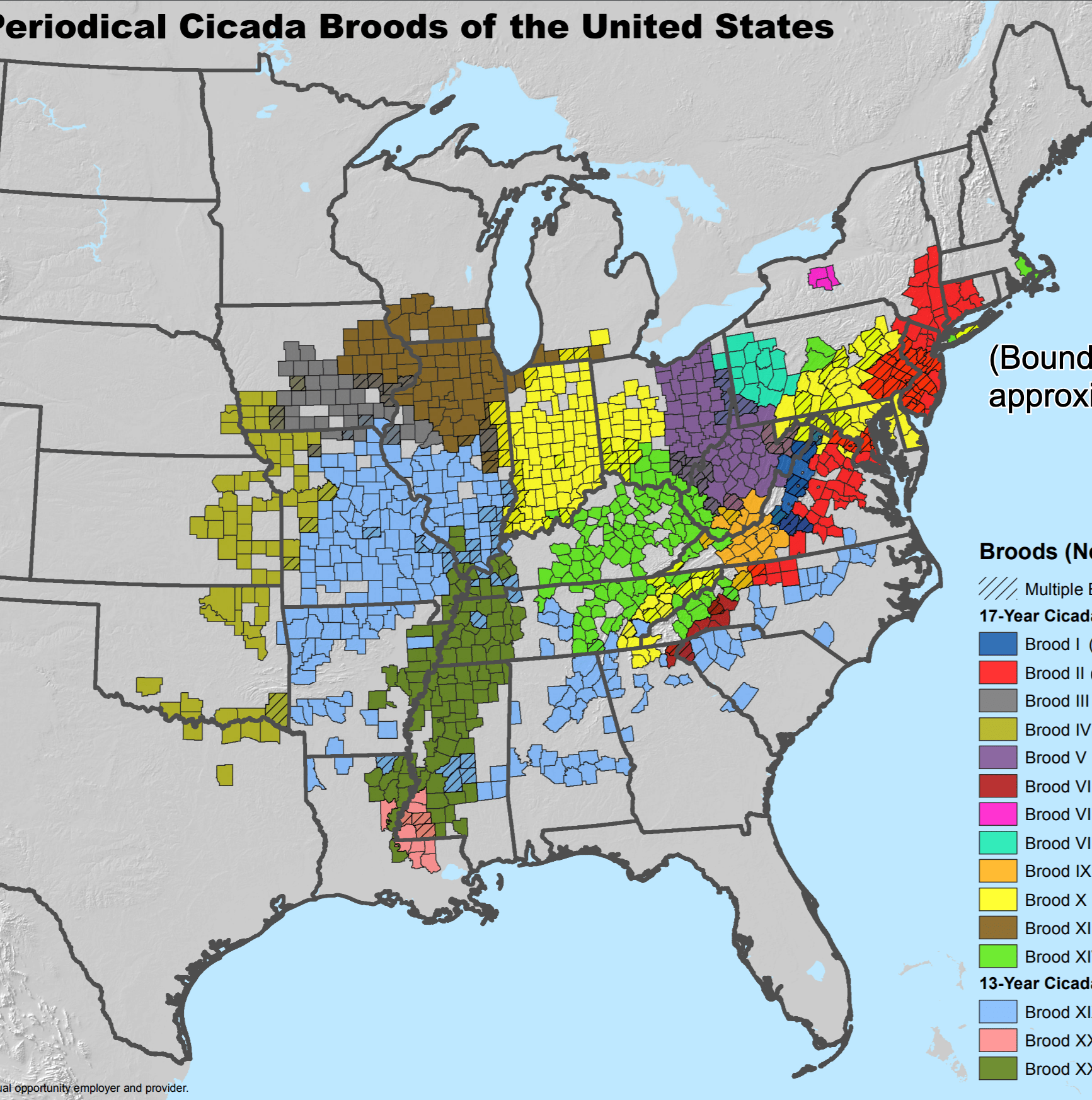 Where billions of cicadas will emerge this spring (and over the next decade), in one map